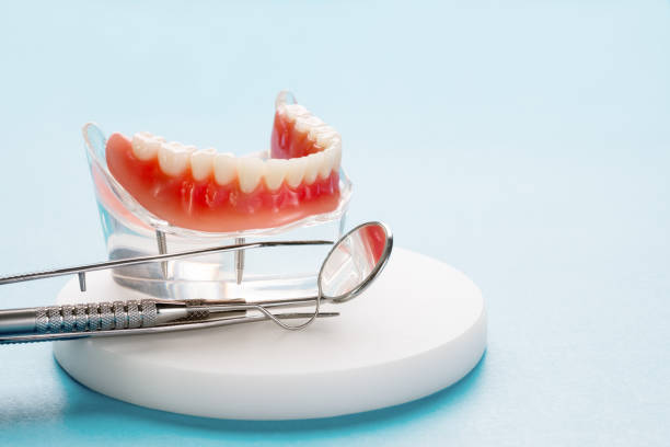 Best Preventive Dentistry  in Buies Creek, NC